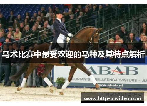 马术比赛中最受欢迎的马种及其特点解析 马术比赛中最受欢迎的马种及其特点解析