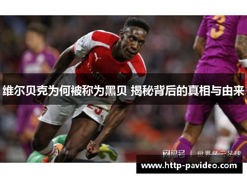 维尔贝克为何被称为黑贝 揭秘背后的真相与由来 维尔贝克为何被称为黑贝 揭秘背后的真相与由来