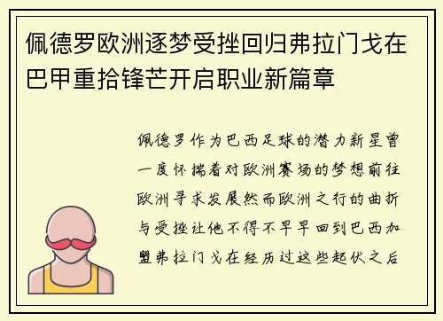 佩德罗欧洲逐梦受挫回归弗拉门戈在巴甲重拾锋芒开启职业新篇章